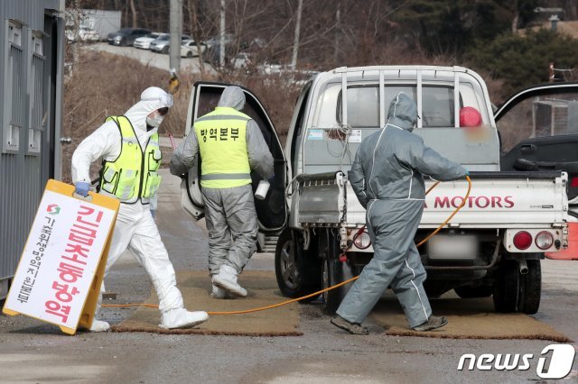 25일 고병원성 조류인플루엔자(AI)가 검출된 경기도 화성시 양감면의 산란계 농장에서 방역 관계자들이 출입차량을 소독하고 있다. 뉴스1 © News1