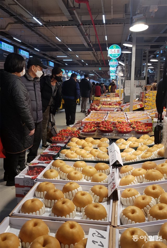 1일 인천 남동구 남촌농산물도매시장을 찾은 시민들이 배, 딸기 등 과일을 고르고 있다. 김영국 채널A 스마트리포터 press82@donga.com