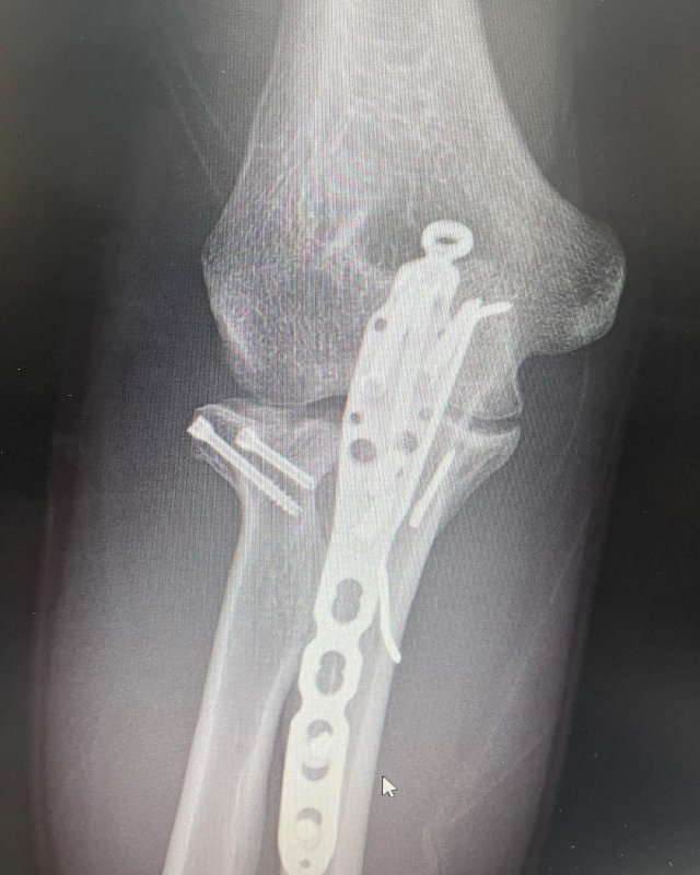 다이나믹듀오 개코 SNS