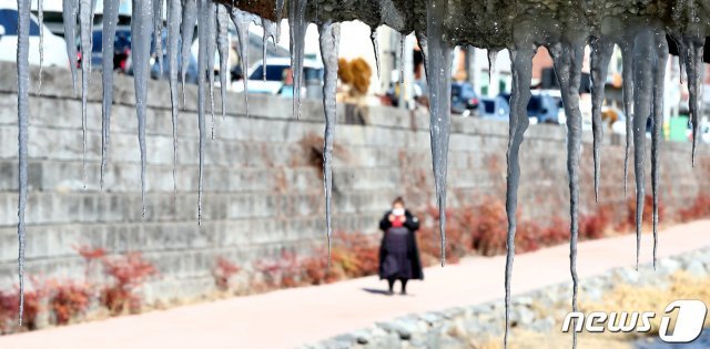 절기상 입춘을 하루 앞두고 대전 및 충남지역에 영하의 추운 날씨를 보인 2일 충남 공주 선화교에 고드름이 얼어 있다. 2021.2.2 © News1