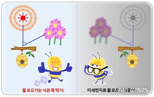 초미세먼지에 길 잃는 꿀벌들'…꿀 찾는 비행시간 1.7배로 늘어｜동아일보