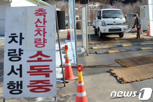 조류인플루엔자(AI) 거점소독시설에서 관계자들이 차량 소독을 하고 있다.(자료사진)© News1