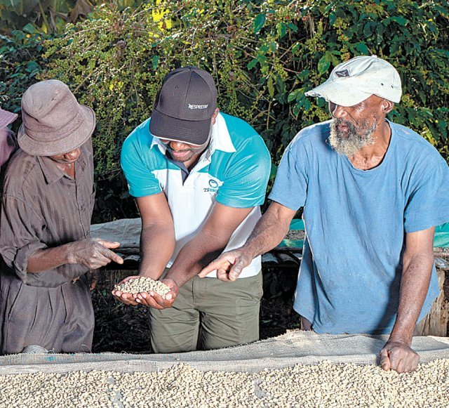 네스프레소는 400여명의 농학자들과 함께 기술 및 시설을 지원해 농부들을 돕는다. 네스프레소 제공