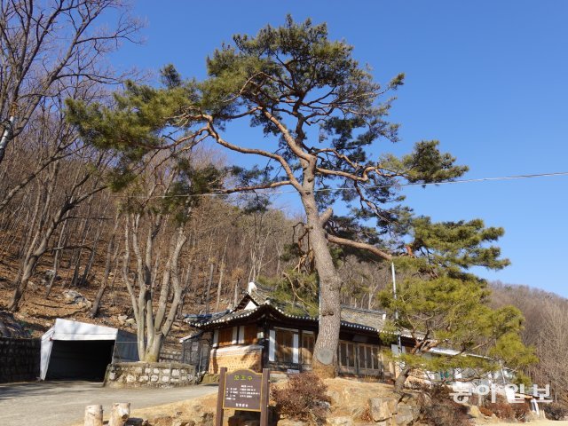 화개사와 소나무: 화개산 자락에 자리잡은 화개사는 수령 200년의 소나무로 유명하다. 고려의 충신 목은 이색이 전국 8대 명산중 하나로 화개산을 꼽을 정도로 산과 바다 경치가 아름답다.