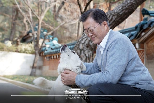 문재인 대통령과 반려견 ‘마루’ 모습. 청와대 제공