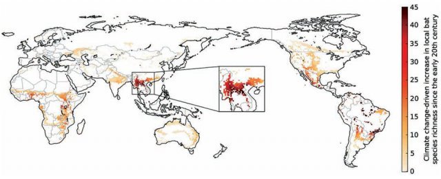 영국 케임브리지대 연구진이 완성한 전
 세계 지역별 박쥐 종의 다양성 정도를 표시한 지도. 붉은색이 진할수록 박쥐 종 다양성이 풍부해졌음을 의미한다. 케임브리지대 제공