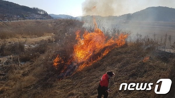 논·밭두렁을 태우는 장면 (사진은 기사와 관련 없음) © News1