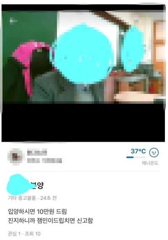 온라인 중고거래 사이트에 게시된 ‘교사 분양’ 글.(온라인 커뮤니티 캡처)