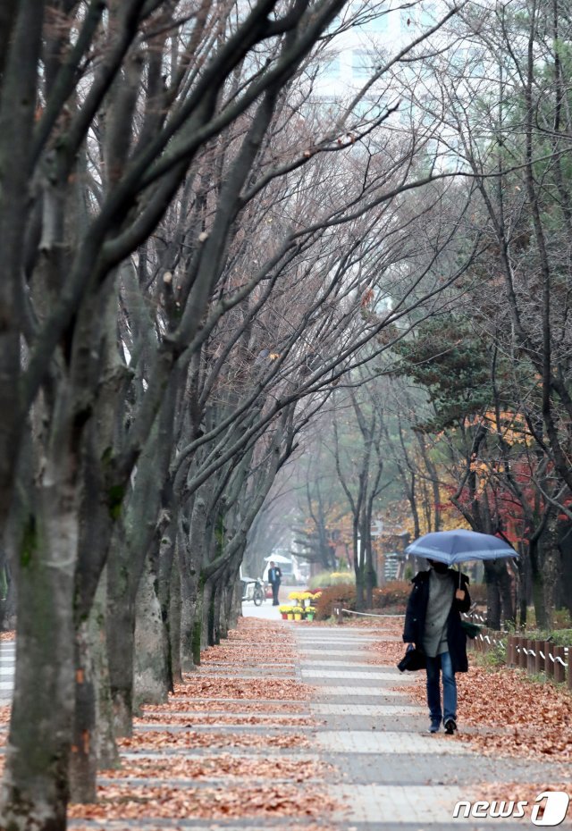 지난 1일부터 전국적으로 많은 눈이나 비가 내리면서 대전과 충남 일부지역 3월 일강수량이 역대 최고치를 기록했다. (자료사진) © News1