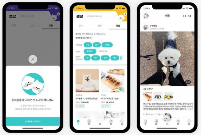반려동물 중심의 커뮤니티 활성이 우선 목표(출처=IT동아)