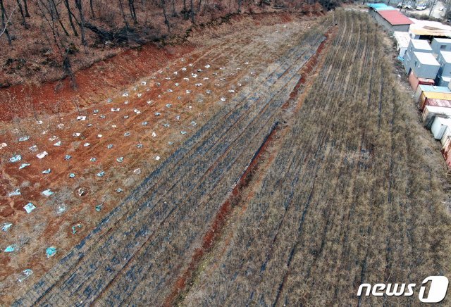 LH 직원들이 사들인 경기도 시흥시 무지내동 소재 농지 일대의 모습. 2021.3.4 © News1