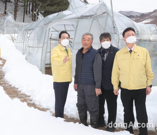 이성희 농협중앙회장(왼쪽)은 4일 폭설피해를 입은 강원 인제군과 양구군을 찾아 피해농업인을 위로하고 복구지원을 위해 현장 상황을 
점검했다. 농협 제공