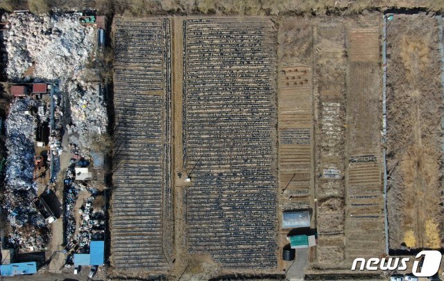 LH 직원들이 사들인 경기도 시흥시 과림동 소재 농지의 모습. © News1