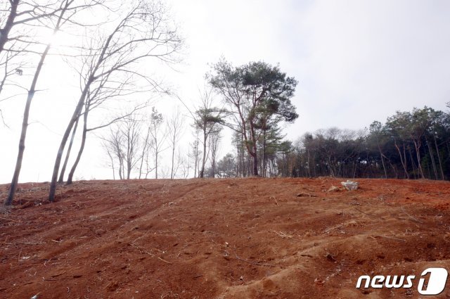 8일 오전 정부가 신규 공공택지 추진계획 대상지로 지정한 광주 광산구 산정지구 일대 야산의 나무들이 벌목돼 있다.2021.3.8/뉴스1 © News1