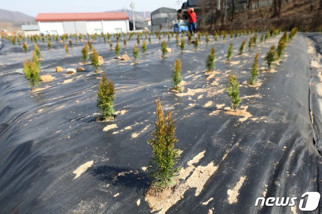 한국토지주택공사(LH) 일부 직원들의 투기 의혹과 관련해 정부합동조사단은 이번 투기의혹 조사대상이 수만명에 달할 것이라며 조사대상을 더 확대하는 부분도 검토할 것이라고 밝혔다. 5일 국토부에 따르면 정부합동조사단은 조사를 통해 위법사항이 확정될 경우 엄정조치할 방침이다. 사진은 5일 오후 LH 직원들이 사들인 경기도 시흥시 과림동 소재 농지의 모습. 2021.3.5/뉴스1 © News1