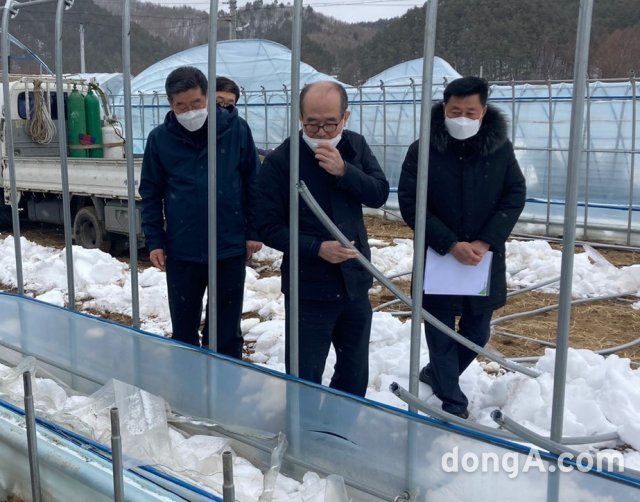 유찬형 농협중앙회 부회장(가운데)이 지난 6일 강원도 강릉·평창 지역의 폭설 피해 농가를 방문해 현장상황을 점검하고 
있다. 농협 제공