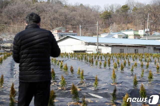 LH 직원들이 사들인 경기도 시흥시 과림동 소재 농지의 모습. © News1