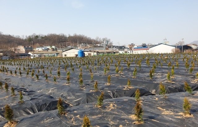 시흥시는 10일 시 자체에서 공무원 등 1748명을 대상으로 진행 중인 전수조사와 사전 신고제에서 소속 공무원 4명이 3기 신도시 예정지 일대 땅을 가지고 있다고 자진 신고했다고 밝혔다. 뉴시스(기사와 직접적인 관련 없는 사진)