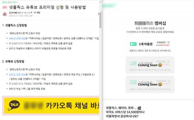 국내에서도 계정 공유만 전문적으로 맡는 사업자가 등장할 정도다. 출처=IT동아