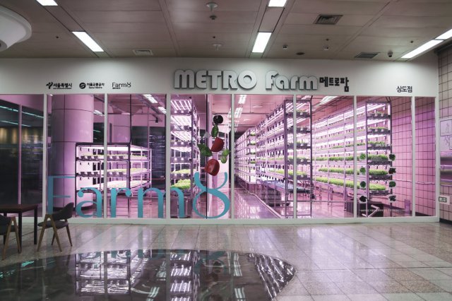 팜에이트는 서울 지하철 내 스마트팜인 ‘메트로팜’을 운영하고 있다. 팜에이트 제공