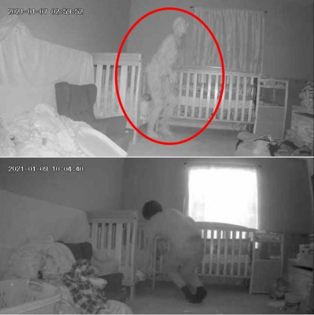 아래는 맥켄지 씨의 아들이 찍힌 모습