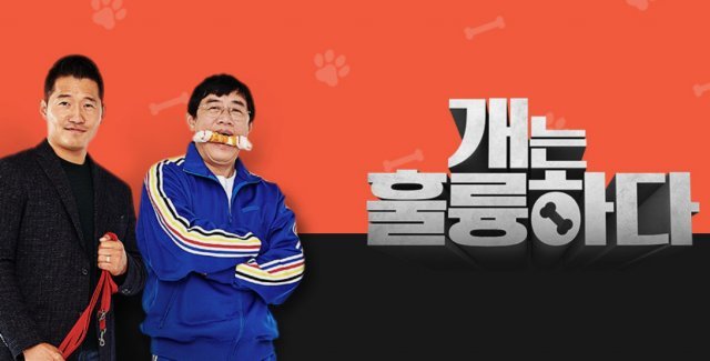 KBS 2TV ‘개는 훌륭하다’