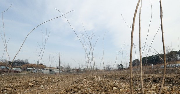 해당 사진 기사와 직접적인 관련 없음. 뉴시스