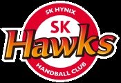 SK호크스 로고