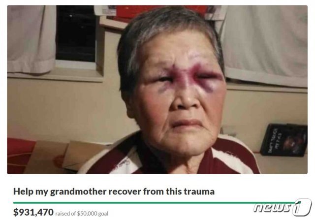 온라인 모금사이트 ‘고펀드미’에 올라온 샤오젠시 후원 페이지(고펀드미 캡처). © 뉴스1