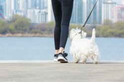 사진은 기사와 무관함 (gettyimagesban)