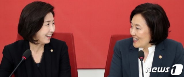 2019년 7월 당시 나경원 자유한국당 원내대표와 박영선 중소벤처기업부 장관이 국회에서 열린 면담에서 인사말을 나누고 있다. 뉴스1