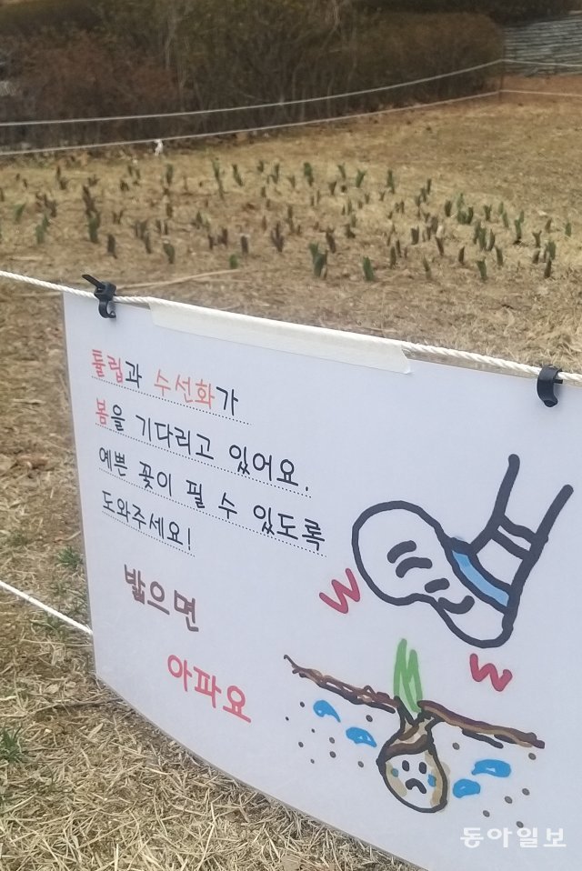올3월초, 서울 용산구