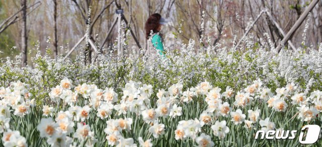 포근한 봄 날씨를 보인 9일 서울 강서구 서울식물원에서 시민들이 봄꽃을 감상하고 있다. 2021.4.9/뉴스1 © News1