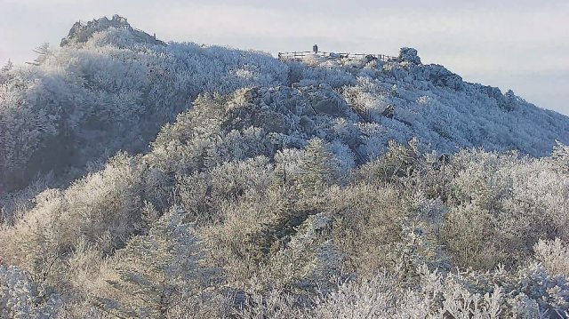 14일 덕유산에 상고대가 활짝 폈다. 13일 저녁부터 영하로 떨어지면서 이튿날 새벽 6시에는 영하 7도까지 내려갔다. 구름 속에 95%의 습도가 형성되면서 약 3cm 두께의 상고대가 형성됐다. 덕유산국립공원 제공