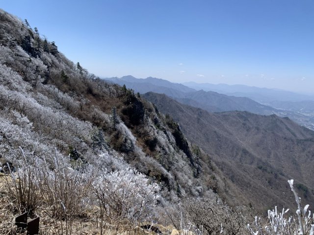 14일 덕유산에 상고대가 활짝 폈다. 13일 저녁부터 영하로 떨어지면서 이튿날 새벽 6시에는 영하 7도까지 내려갔다. 구름 속에 95%의 습도가 형성되면서 약 3cm 두께의 상고대가 형성됐다. 덕유산국립공원 제공