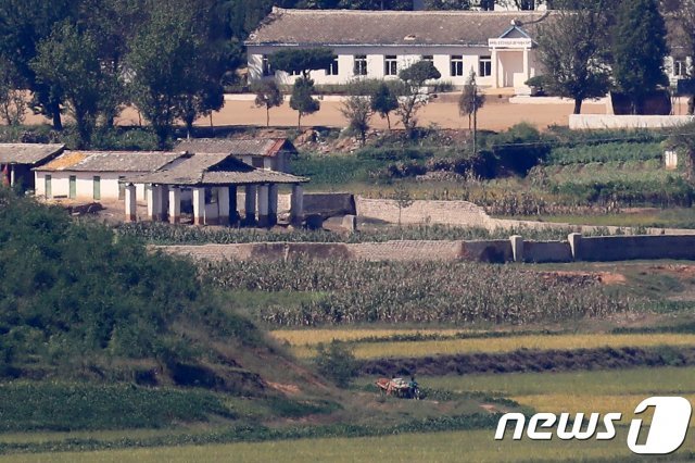 지난 2017년 9월14일 경기 파주 오두산전망대에서 바라본 북한 황해북도 개풍군 들녘에서 북한 주민들이 소달구지에 쌀가마니를 싣고 가고 있다. 2017.9.14 © News1