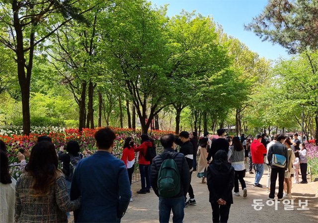 서울숲도 인파 ‘북적’



18일 오전 서울 성동구 서울숲 튤립길이 활짝 핀 꽃을 보러 온 상춘객들로 붐비고 있다. 서울숲 측은 튤립길 입장 인원을 제한하고 관람객이 일방통행을 하도록 안내하고 있다.

이기욱 기자 71wook@donga.com