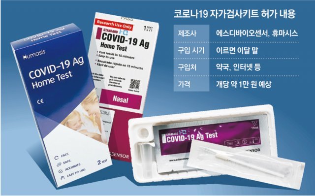 자가검사키트, 15분내 결과 확인… 편의점 구입-택배 배송도 가능