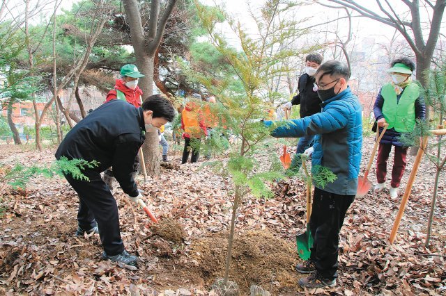 이태훈 달서구청장(왼쪽)과 주민들이 최근 대구 달서구 송현공원에서 열린 식목일 행사에서 편백나무 묘목을 심고 있다. 대구 달서구 제공
