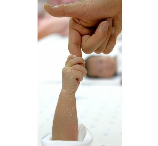 자료사진. 동아일보