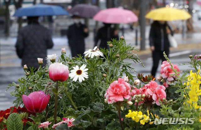 봄비에 우산 쓴 시민들. 뉴시스