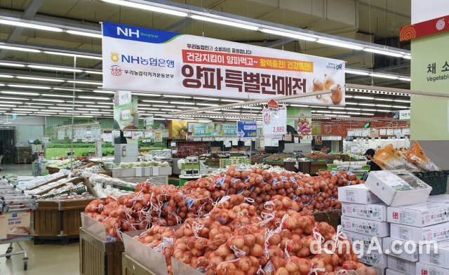 농협 경제지주가 최근 생산량 증가에 따른 가격하락으로 어려움을 겪고 있는 양파 농가를 지원하기 위해 NH농협은행·우리농업지키기운동본부와 함께 양파 소비촉진 특별 할인판매를 오는 19일까지 일주일 간 진행한다. 농협 제공