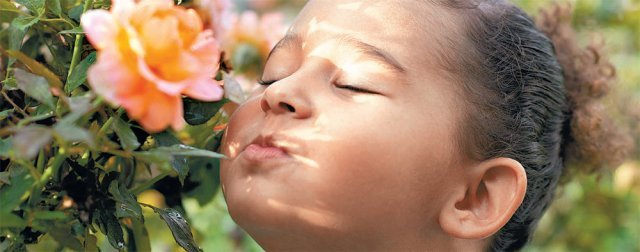 후각은 다세포생물이 생긴 후 가장 먼저 생겨난 감각으로 생존에 필수적이고, 가장 심층적인 본능과 관련돼 있다. 냄새를 즐기는 것은 삶을 즐기는 것이다. 게티이미지코리아