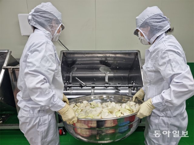 14일 부산 기장군 ㈜할매손 식품공장 직원들이 깍두기와 섞박지를 만들고 있다. 강성명 기자 smkang@donga.com