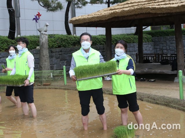 17일 서울시 중구 농업박물관 앞 체험농장에서 열린 손모내기 행사에서 이성희 농협중앙회장(오른쪽에서 두 번째)와 신규직원들이 모판을 나르고 
있다.