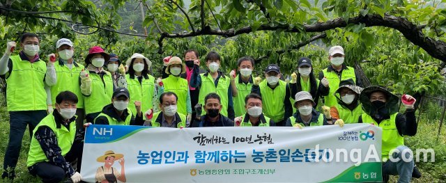 농협중앙회 조합구조개선부 정동화 부장과 직원들이 성남사랑 농협봉사단과 함께 18일 경기도 성남시 소재 배 재배 농가를 찾아 적과 작업을 도우며 구슬땀을 흘렸다. 농협 제공