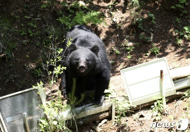 (기사 본문과 관계없는 사진)  / 뉴스1 © News1