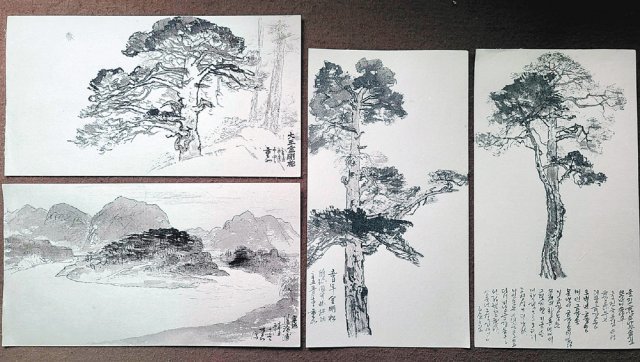 한국화가 백범영 교수가 스케치한 울진 금강송숲길의 소나무 그림.