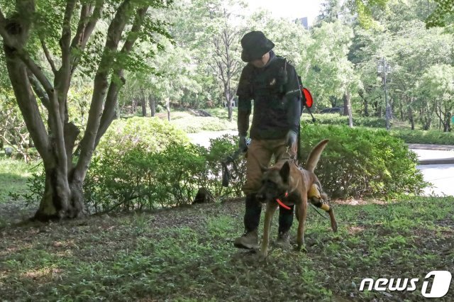 22일 경북 포항시 남구 포항공대 인근에서 경찰 수색견이 지난달 7일 실종된 윤 모씨(28)의 행방을 찾기 위해 투입되고 있다.  2021.5.22/뉴스1 © News1