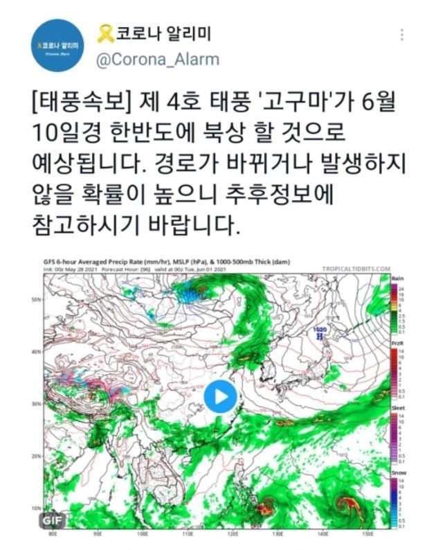 한 트위터 계정에 6월10일 한반도에 4호 태풍이 북상할 것이라는 예측글이 게시돼 있다. © 뉴스1(트위터 갈무리)